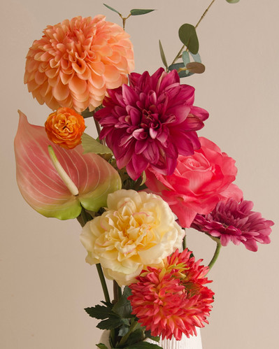 Sunset Riot | Fern & Wild