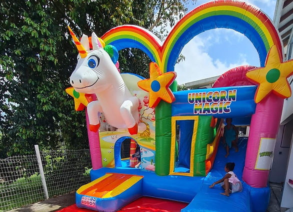 chateau gonflable.jpg