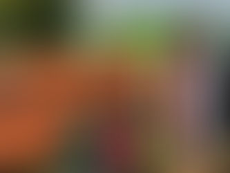 Voller Erfolg beim Tag der offenen Tür