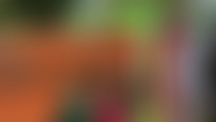 Voller Erfolg beim Tag der offenen Tür