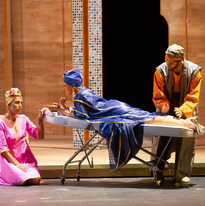 Zulma, L'Italiana in Algeri. Teatro Comunale di Bologna 2.png