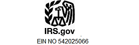 IRS gov 1.png