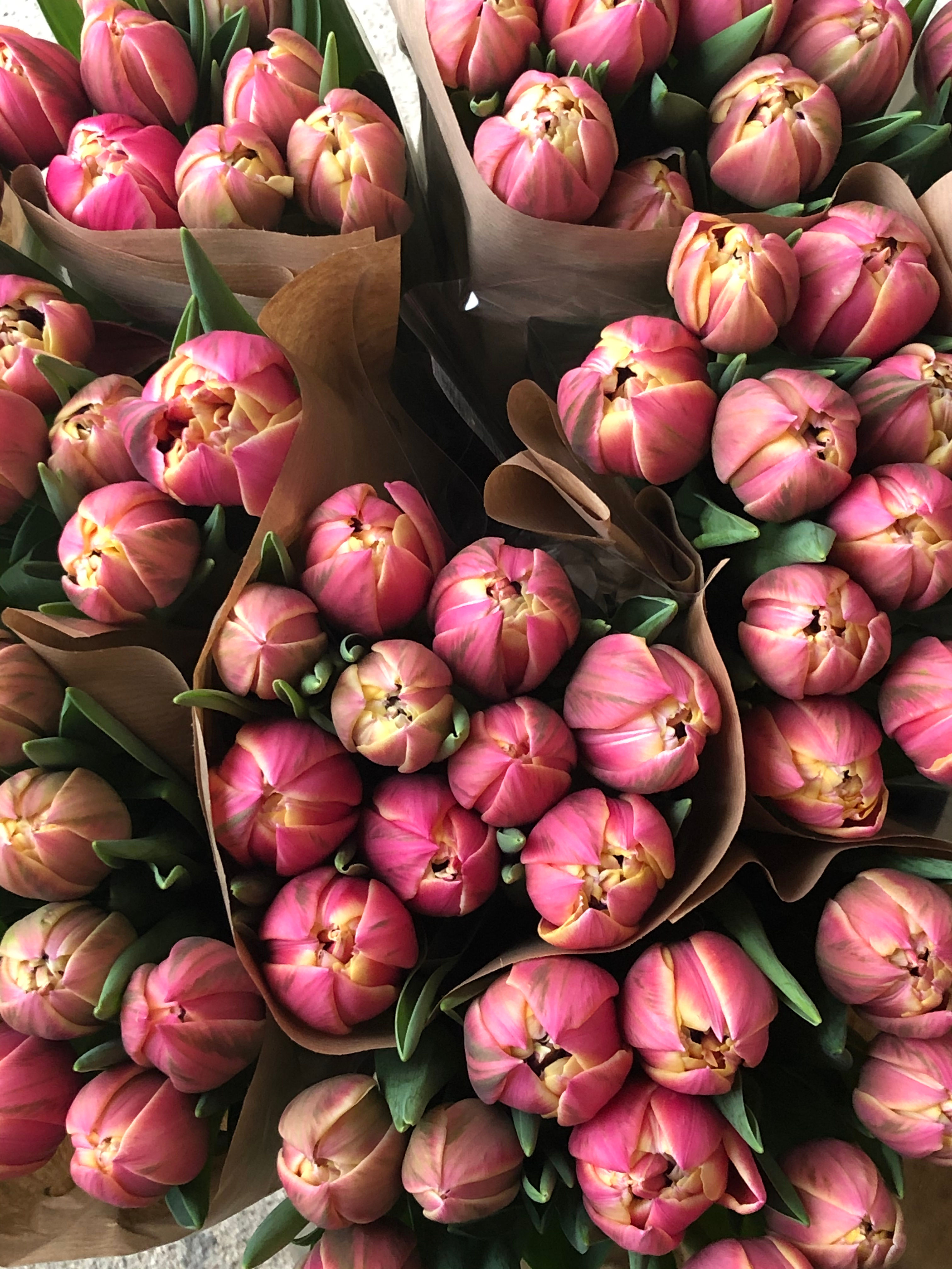 Catherine Double Tulip Bouquet