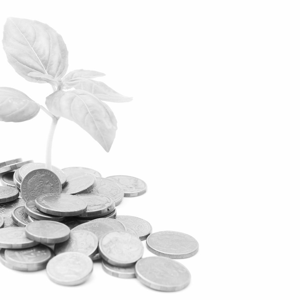 Wealth Advisor: Common misconceptions debunked
