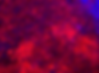 Screenshot 2023-12-19 at 10.41.48 AM.png