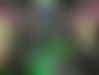 Premier Chauffeur Services to the Fort Lauderdale International Boat Show