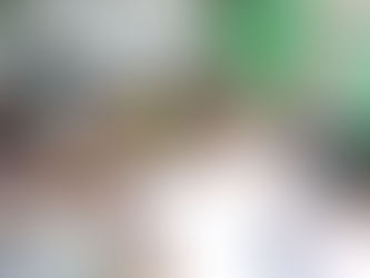 Le Ministère de l’Environnement renforce les contrôles dans l’Ouest face à l’exploitation illégale des ressources