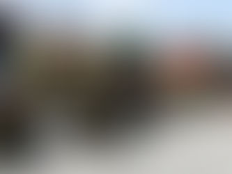 Déploiement de la Force de répression des gangs (FRG) en Haïti : où en sommes-nous ?