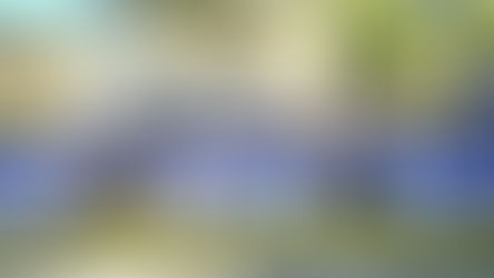 Soutien international à la 36e promotion de la Police Nationale d’Haïti