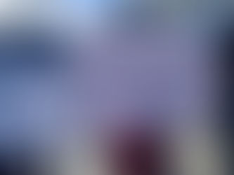 39e anniversaire de la Constitution de 1987 : des organisations politiques manifestent à Delmas contre le pouvoir monocéphale