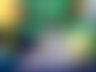 Haïti Vizyon lance une pétition pour booster la production nationale