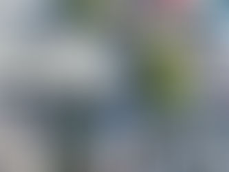 Opération de la nouvelle force à Village de Dieu : drones, explosifs et un carnaval interrompu