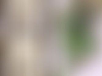 月に一度の日曜コラボレッスンお知らせです