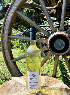 Vins rebelles, vin ephemere 