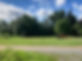bilan comportemental cheval