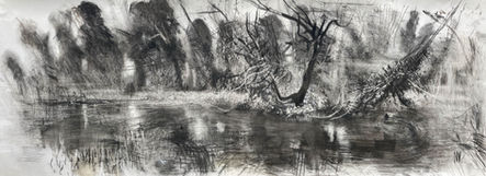 The River Wandle at Wilderness Island, Carshalton.jpg