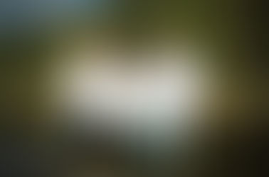 Kujeliai debut music album - Andrius Vaicenavicius