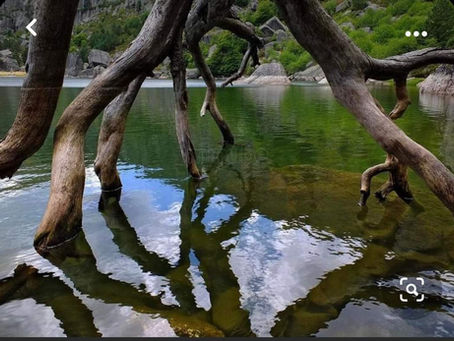 EL CAMINO DE CUANDO YEWÁ Y OLOSA VIVÍAN EN LA LAGUNA