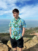Dragon Ball Hawaiian Shirt