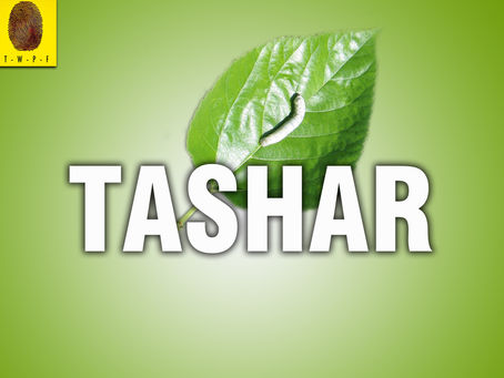 Tangkhul Kha(Villages)