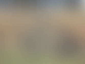 MY STORY (Brakeless bicycle): 001