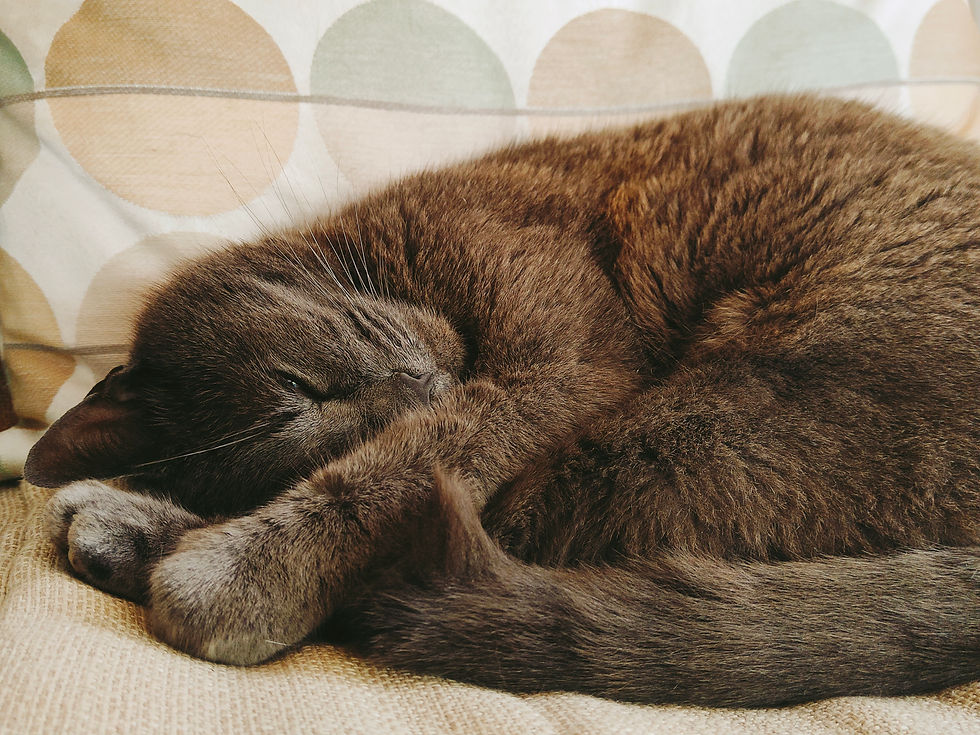 Zwischen Abschied und Neubeginn: meinen eigenen Rhythmus ernst nehmen