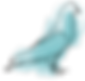 Pastel Bird
