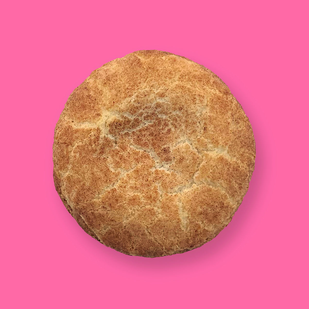 Cinnamon Swirl Snickerdoodle Cookie