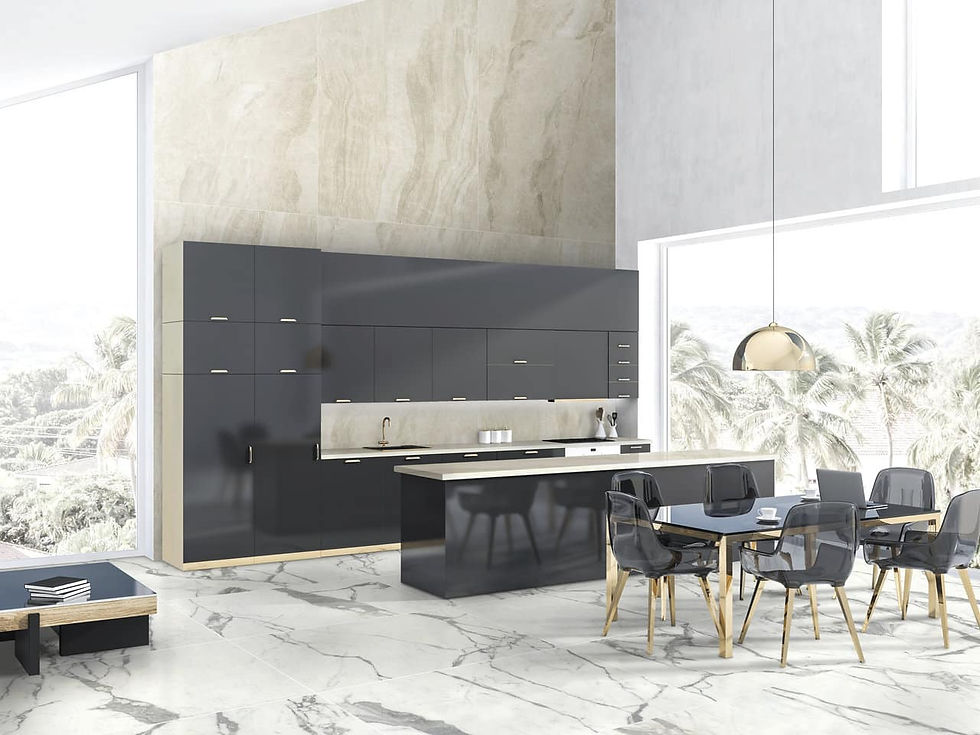 Taj-Mahal-Roman-Grey-Kitchen-and-Living-Room