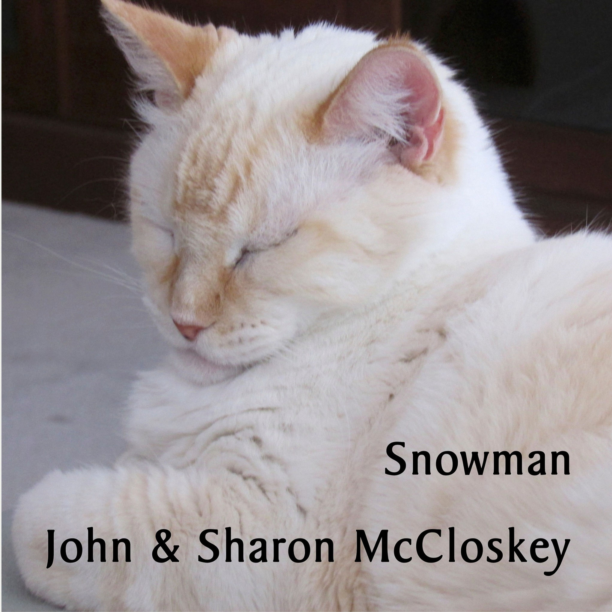 12x12 inch ceramic tile