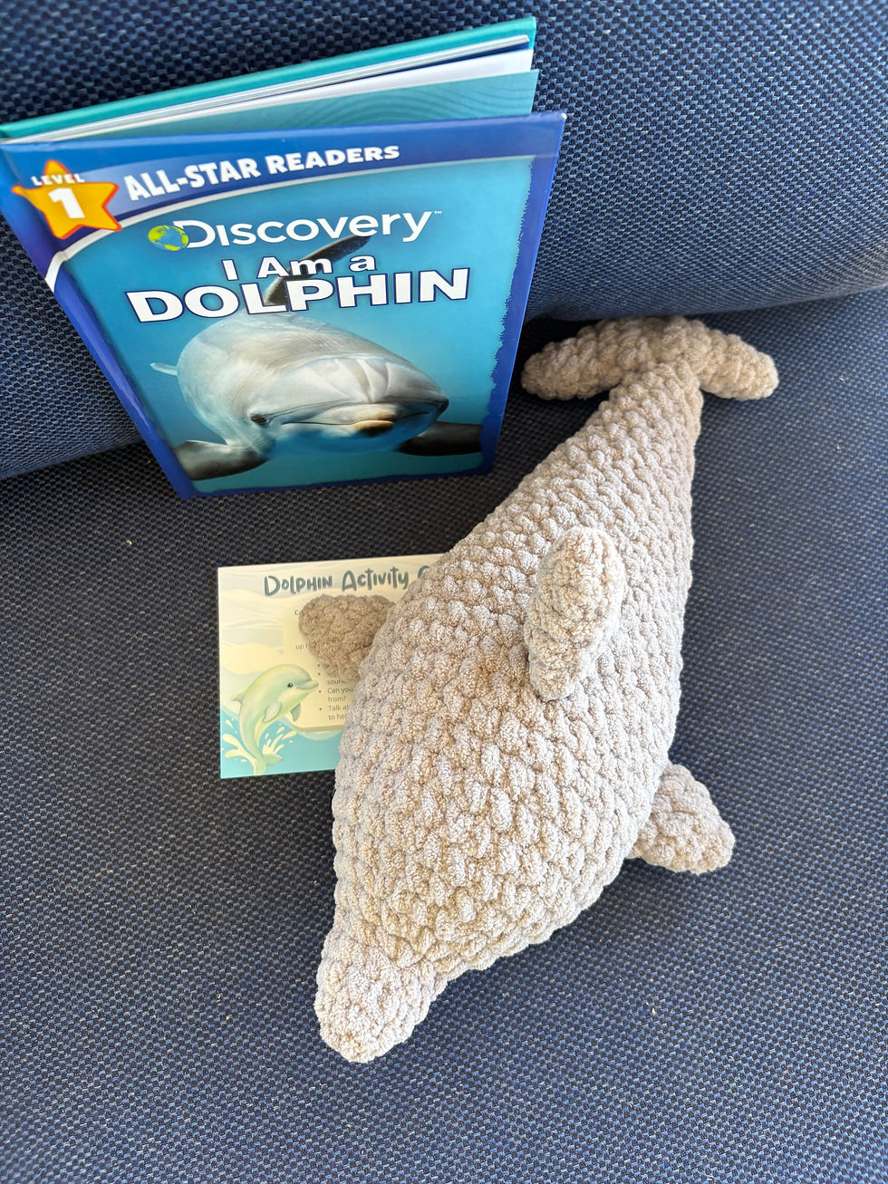 Thumbnail: I Am a Dolphin Story Collection
