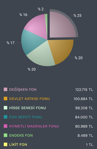 Kasım 2024'te BES portföyümün net getirisi %6 olarak gerçekleşmiş.