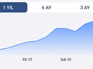 BES portföyümde aylık getiri net %4 oldu.