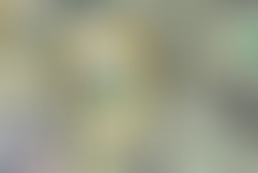 BES'te her ne kadar tüm yatırımlar TL cinsinden yapılsa da, döviz cinsi yatırım yapmanın yolları da var.