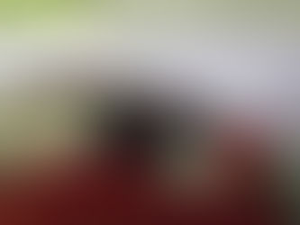 BES tarihinde ilk defa şubat ayında yaşanan deprem nedeniyle vefat eden katılımcıların varislerine yönelik özel bir düzenleme yapıldı.