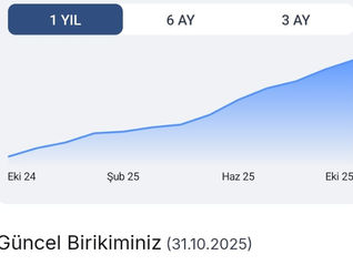 Ekim 2025 fon dağılımım...