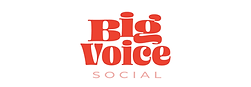 Big Voice Social.png
