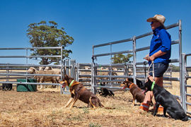 Waiting to work_18.jpg