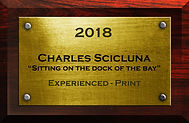 2018 IOTY Exp Print Plaque.jpg