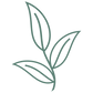 Leaf Icon