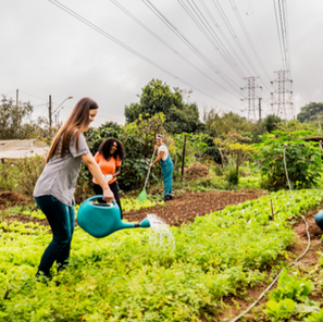 Farmers working on a community garden