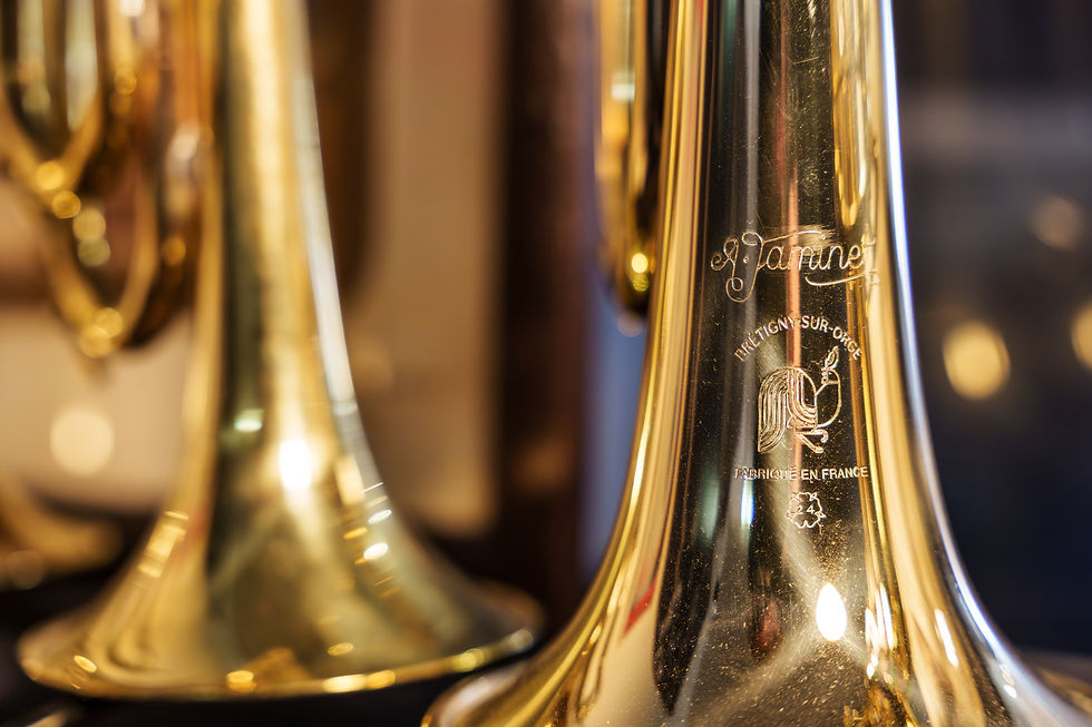 Modèle LUCIEN 2_.jpg