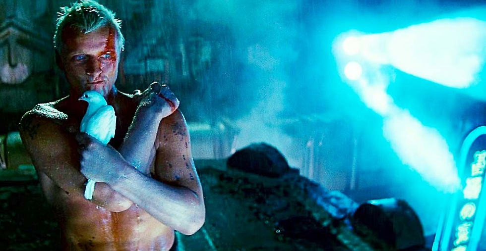 Screenshot : "Blade Runner", του Ρίντλεϊ Σκοτ, 1982