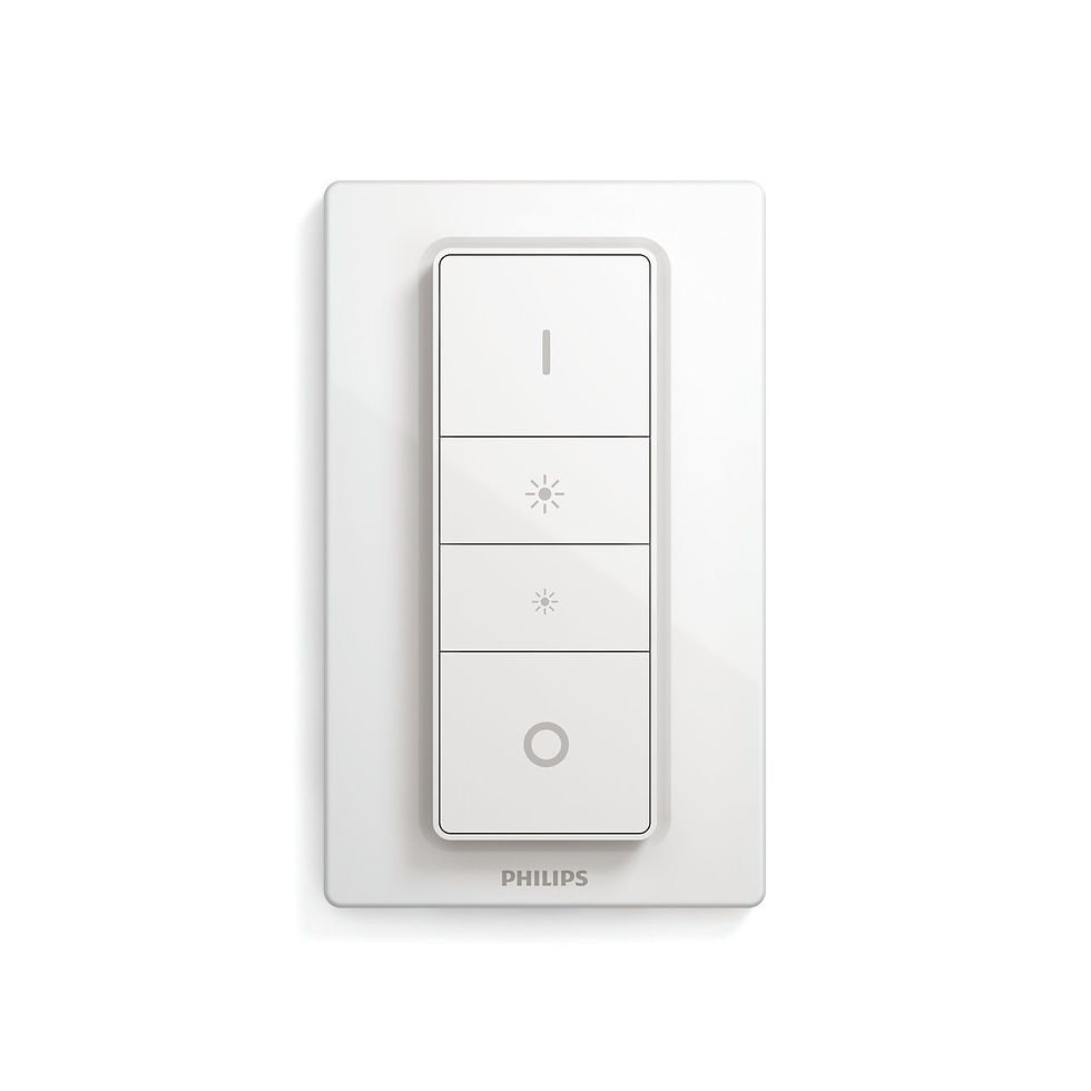 縮圖：Philips HUE Pillar 5.5W 兩頭射燈
