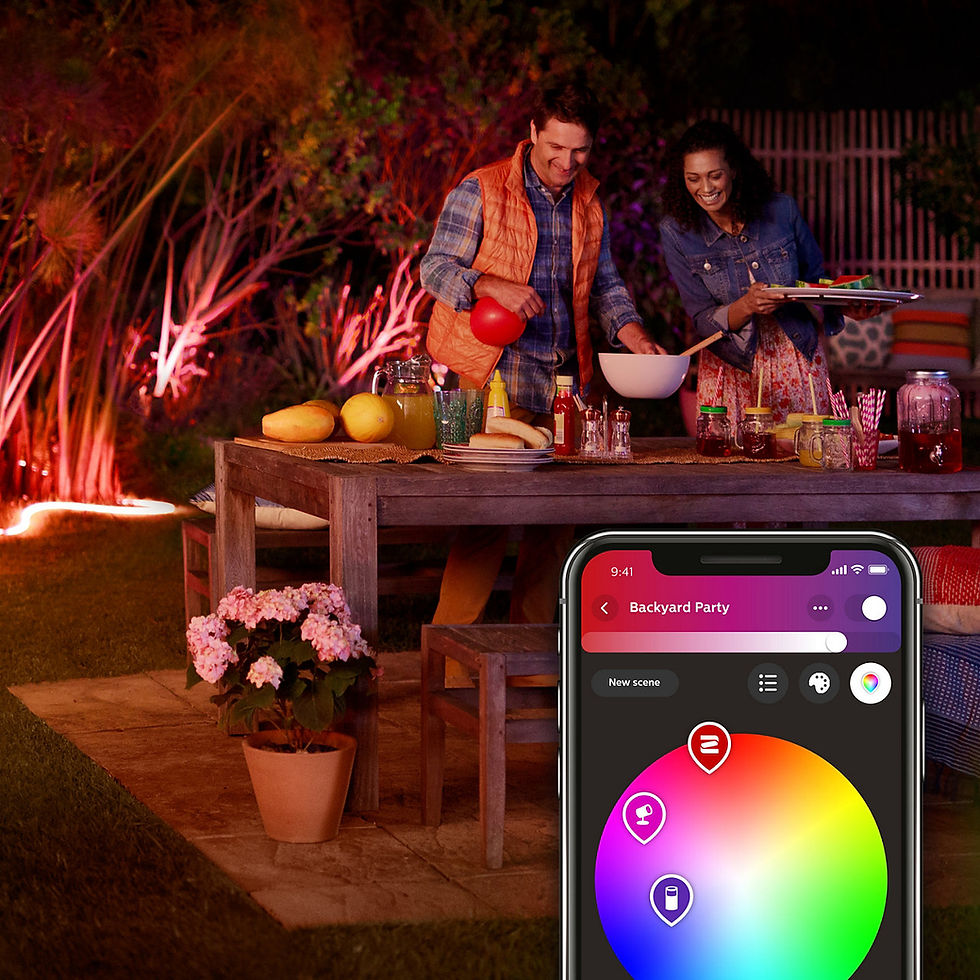 縮圖：Philips HUE 彩光變色燈帶 (可戶外用) 兩米裝