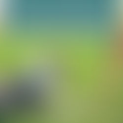 9 Tips to Quickly Drive More Website Traffic for Dog Trainers