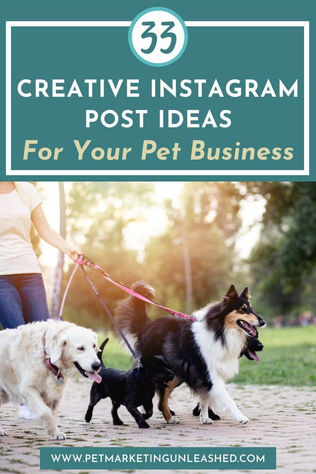 33 Creative Instagram Post Ideas for Your Pet Business (Photos, Not Videos)