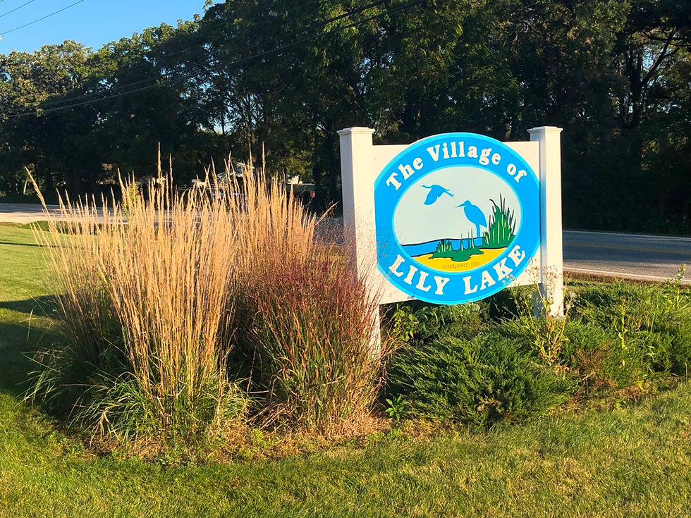 Lily Lake Illinois