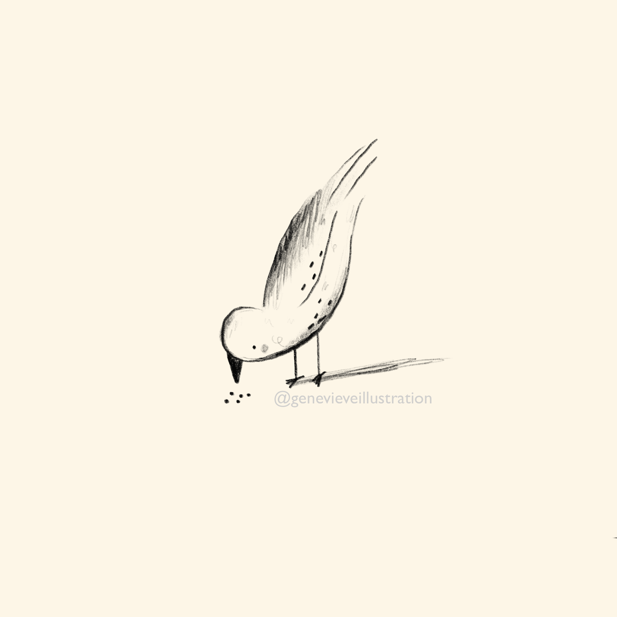 7FD28185-D4D4-4215-B855-A0B9B647A93B.GIF