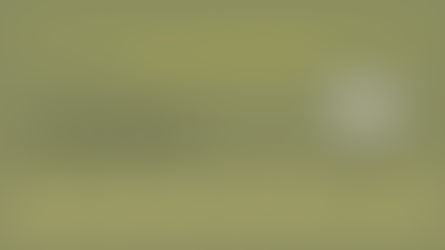 Enhance Your Pool House Experience with These Amazing Accessories and Upgrades